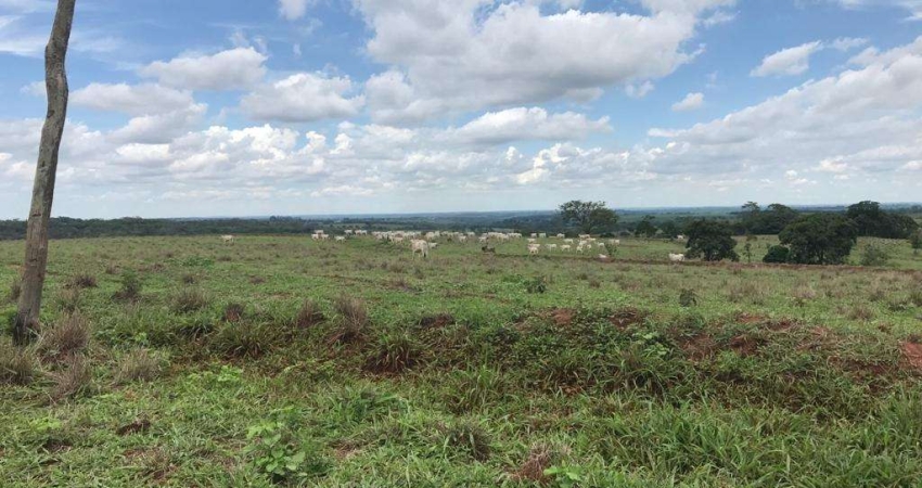 Fazenda para venda na região de Jales-SP com 81 alqueires na pecuária, completa em benfeitorias, rica rem agua