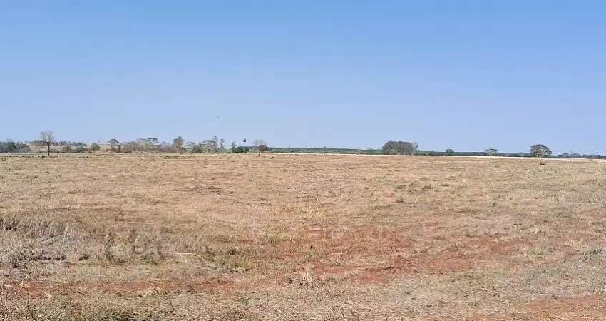 Sitio para venda na região de Ouroeste-SP com 28 alqueires sendo 26alqueires em cana arrendada, plana, terra massape