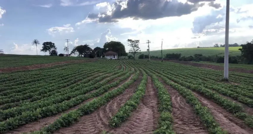 Ótimo sitio para venda na região de Taquaritinga-SP com 10,5 alqueires, aproveitamento lavoura 90%, bom de agua, benfeitorias