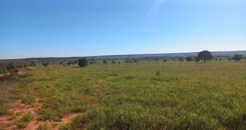Fazenda para venda na região de Ribas do Rio Pardo-MS com 493 alqueires montada na pecuária, rica em agua e ótima localização