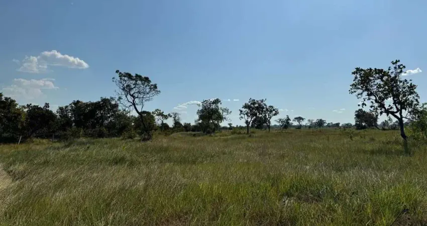 Fazenda para venda na região de Bom Jesus do Araguaia-MT com 997 hectares sendo 400 hectares formados, rio na propriedade e benfeitorias