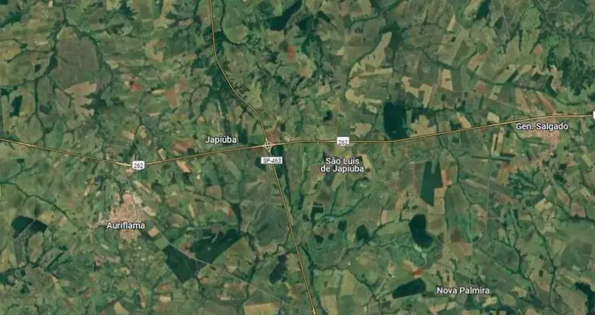 Fazenda para venda na região de Auriflama-SP com 64 alqueires sendo 54 alqueires em cana arrendada, beira do asfalto, benfeitorias