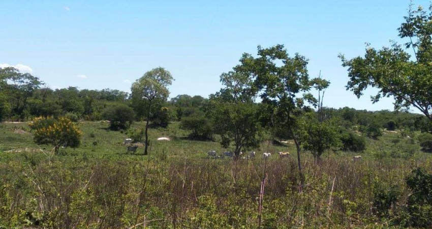 Fazenda dupla aptidão para venda em Santa Rita de Cassia-BA com 520 hectares sendo 400 hectares abertos, beira do asfalto, atual na pecuária