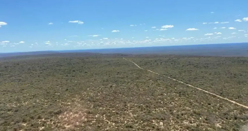 Fazenda bruta grande extensão para venda na região de Xique-Xique-BA com 140.000 hectares, ideal para lavoura, abundante em agua para irrigação