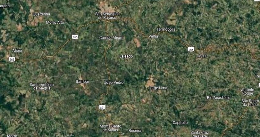 Fazenda dupla aptidao para venda na região de São Sebastiao do Paraiso-MG com 174 hectares, café, eucalipto e pecuária, porteira fechada, rica em agua
