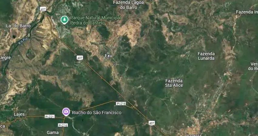 Fazenda grande extensão, dupla aptidao para venda na regaio de Juazeiro do Piaui-PI com 7.600 hectares, sendo 4.000 hectares agricultáveis, tem benfei