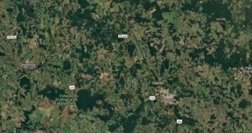 Fazenda para venda na região de Clevelandia-PR com 650 alqueires sendo 150 alqueires em lavoura mais pinus, porteira fechada, boas benfeitorias
