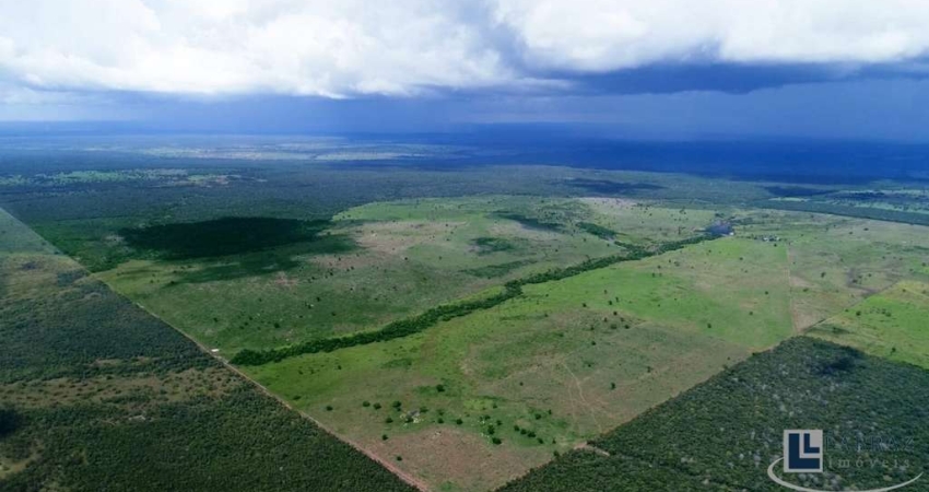 Fazenda dupla aptidao para venda na região de Duere-TO com 1.339 hectares, excelente logística, benfeitorias, rica em agua, terra preta de cultura