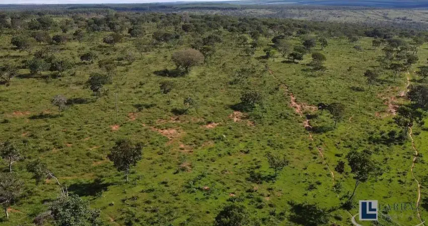 Sitio dupla aptidao para venda em Lassance-MG com 75 hectares, ideal para café, benfeitorias e rica em agua