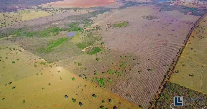 Fazenda dupla aptidao para venda em Unai-MG com 537,10 hectares, boa de agua e benfeitorias para pecuária