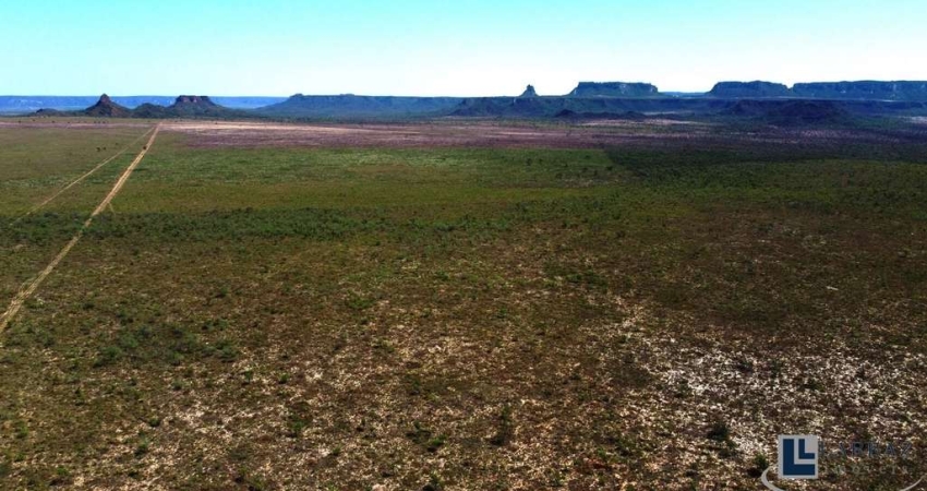 Fazenda dupla aptidao para venda em Rio da Conceição-To com 1.800 hectares, toda cercada, rica em agua, córrego na propriedade