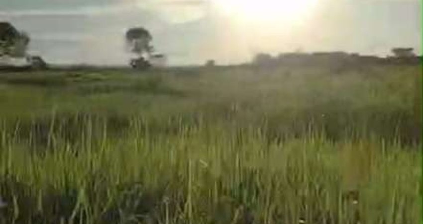 Fazenda dupla aptidao para venda na região de Cariri do Tocantins-TO com 998 hectares, toda aberta, excelente argila e benfeitorias