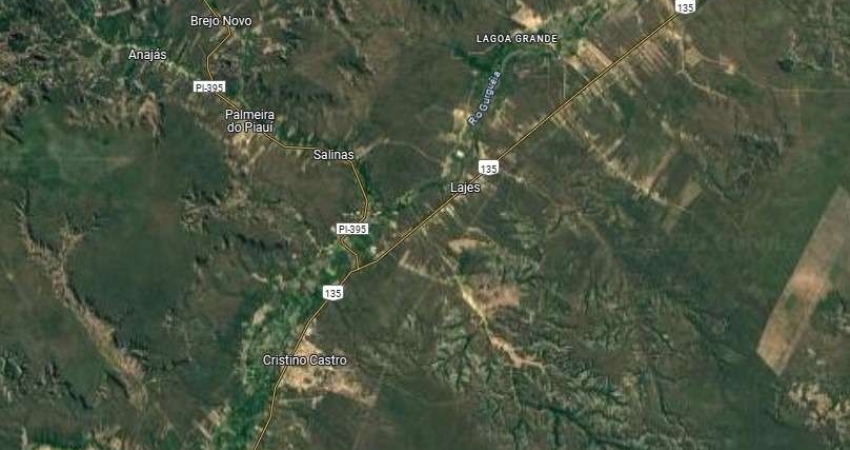 Fazenda para venda na região de Cristino Castro-PI com 1.450 hectares na pecuária, benfeitorias, poço artesiano, modalidade porteira fechada