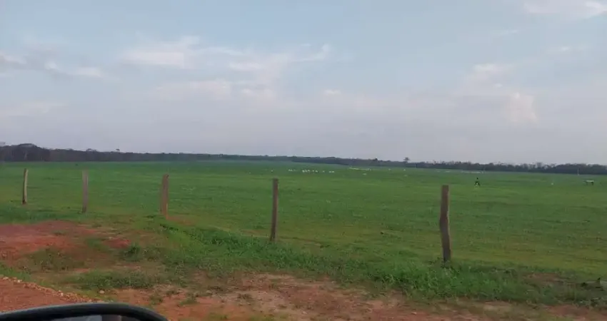Fazenda para venda na região de São Jose do Rio Claro-MT com 800 hectares na pecuária, muitas benfeitorias, pronta para trabalhar