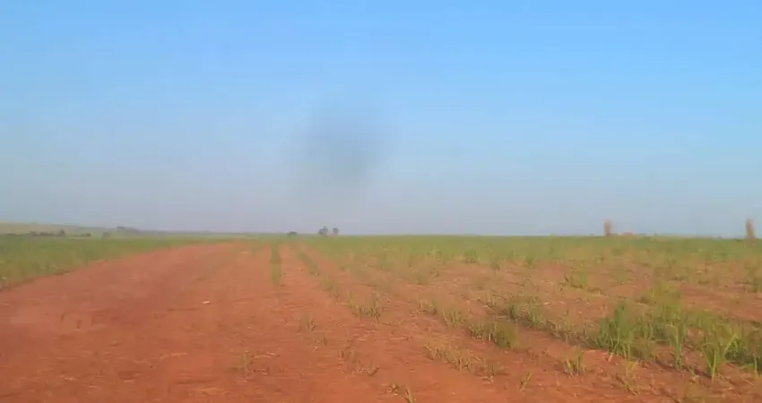 Fazenda para venda na região de Araçatuba-SP com 415 alqueires sendo 350 alqueires em cana arrendada, rica em agua, beira da represa, terra de cultura