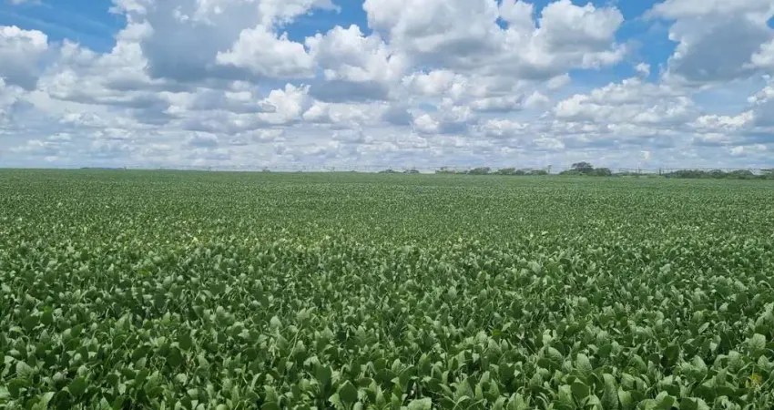 Excelente fazenda para venda na região de ituverava-sp com 57 alqueires sendo 50 alqueires com agricultura e parte irrigada, boa de agua