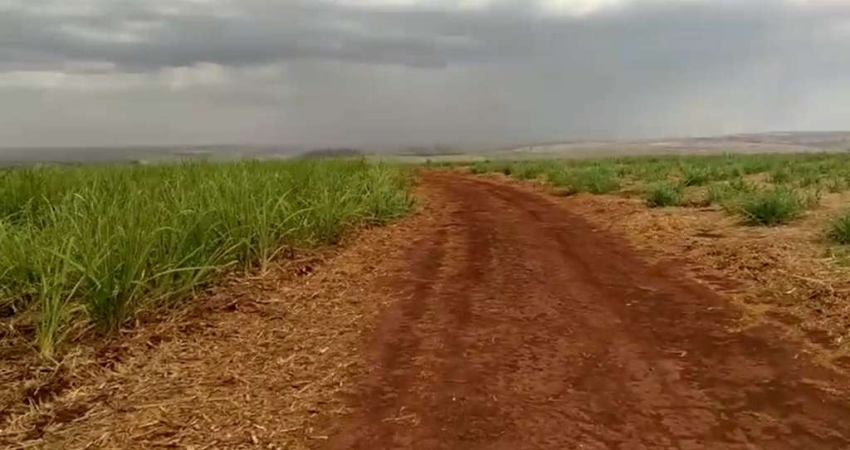 Sitio para venda em Igarapava-SP com 13 alqueires sendo 12,5 alqueires em cana,, terra de cultura, proximo de varias Usinas