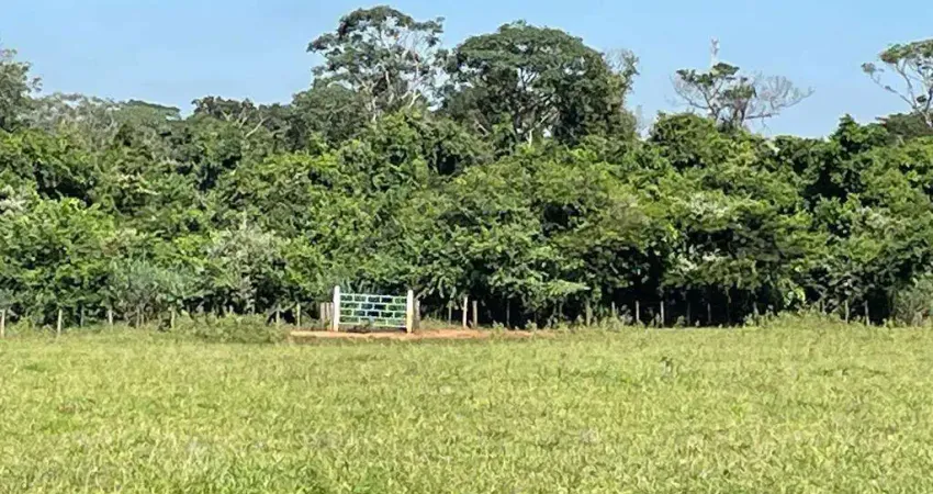 Sitio para venda na região de São Jose do Rio Preto-SP, 25 alqueires montado na pecuária, córrego e represa, casa sede e muitas benfeitorias