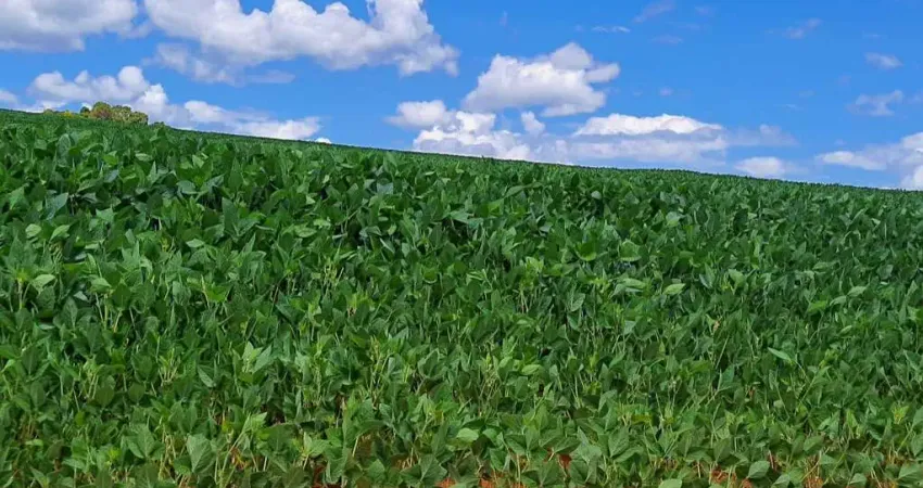 Sitio para venda na região de Araxa-MG, com 87 hectares, sendo 50 hectares agricultáveis, benfeitorias, rio na propriedade, altitude café