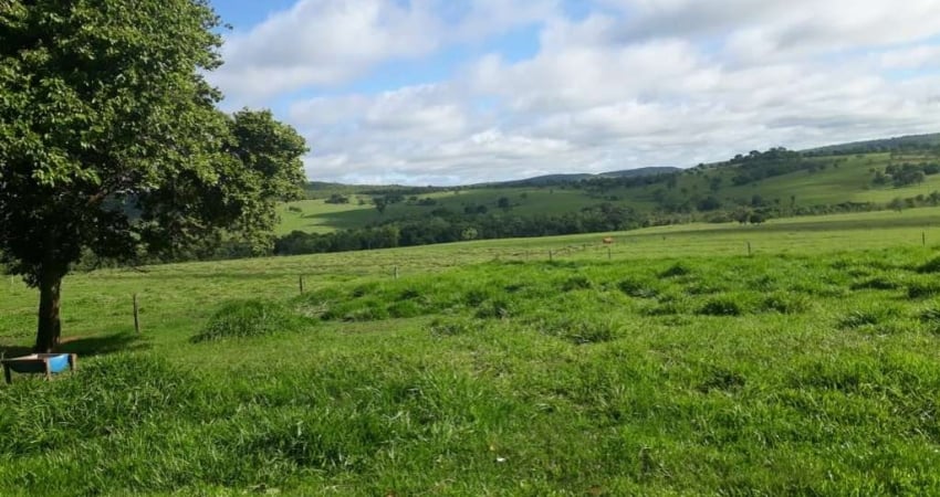 Fazenda para venda na região de Iturama-MG, com 280 alqueirao MG em pasto, boa de agua, benfeitorias, montada pecuária