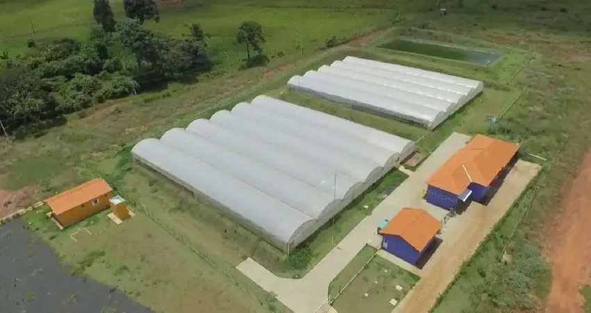 Agroindustria com frigorifico para venda na região de Ribeirão Preto-SP, area total 13 hectares e infraestrutura completa e de primeira para aquicultu