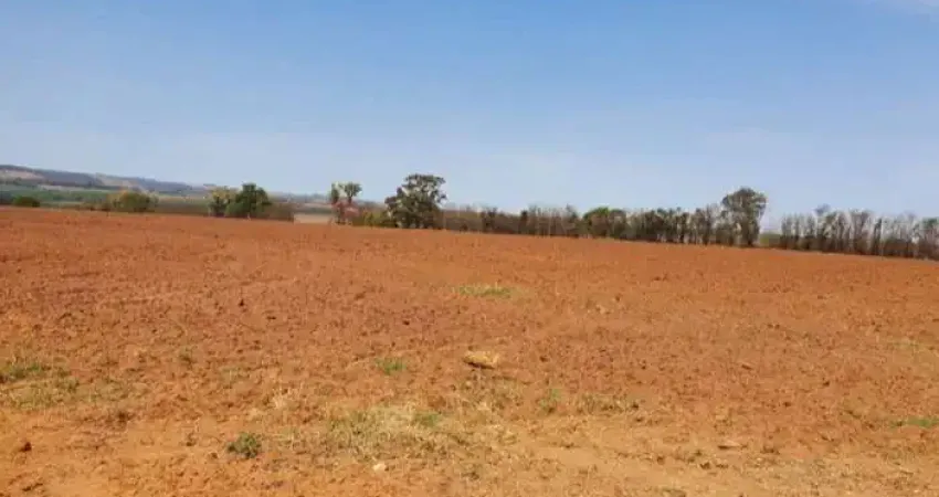 Fazenda dupla aptidão para venda na região de boa esperança do sul-sp com 175 alqueires, planta 80%, muitas benfeitorias, rio na propriedade