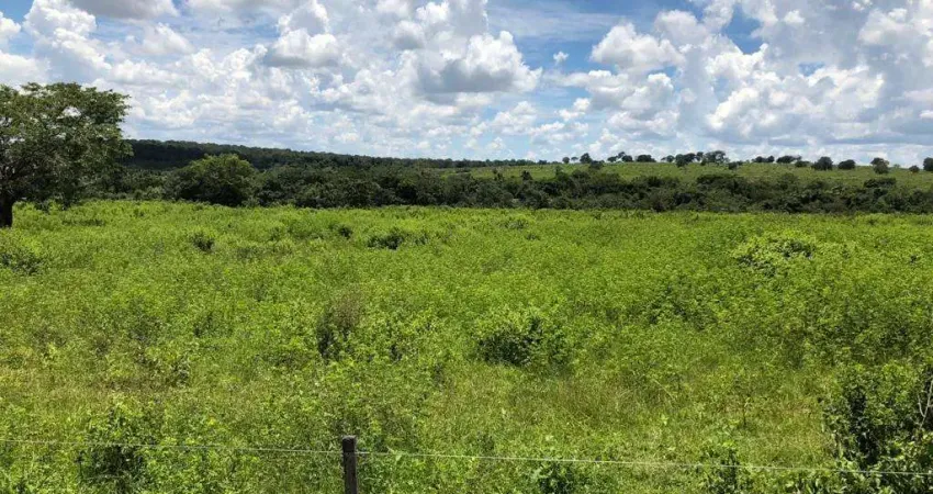 Ótima fazenda dupla aptidão para venda na região de Primavera do Leste-MT, com 6.766 hectares, atual em pecuária, muitas benfeitorias, rica agua