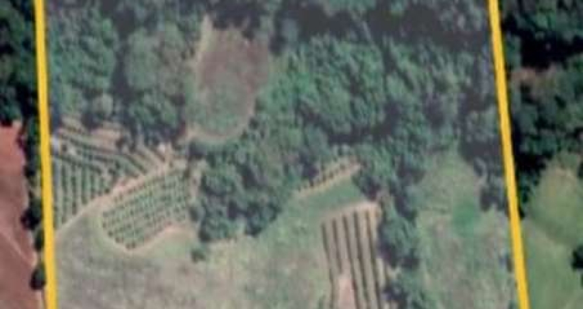 Sitio para venda em Fernando Prestes-SP, com 8 alqueires planta 6,5 alqueires, atualmente vários pés de frutas, sem benfeitorias