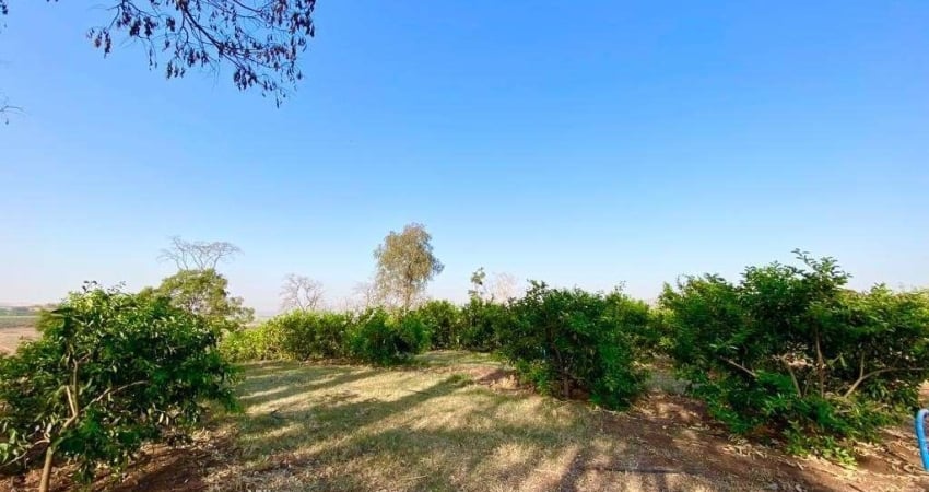 Excelente sitio múltipla aptidão para venda na regiao de Jaboticabal-SP, com 8,20 alqueires sendo 6 alqueires para lavoura, bom de agua, corrego na pr