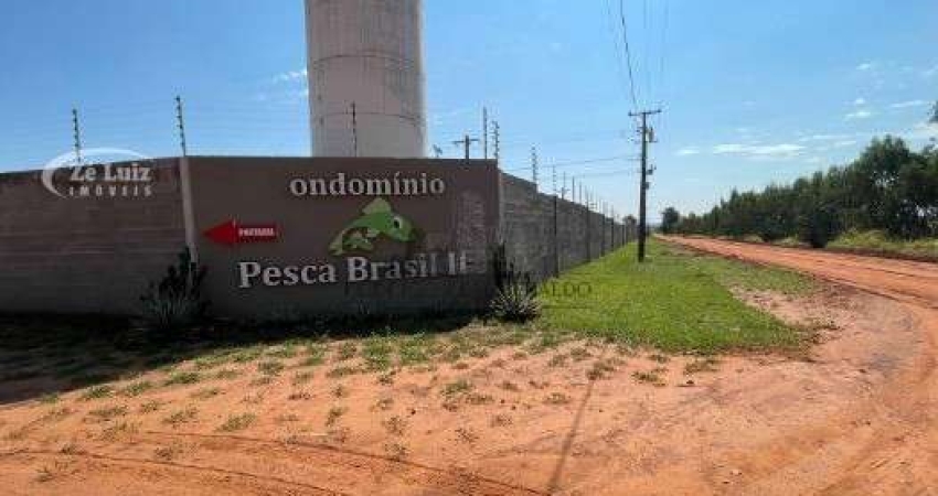 PESCA BRASIL II