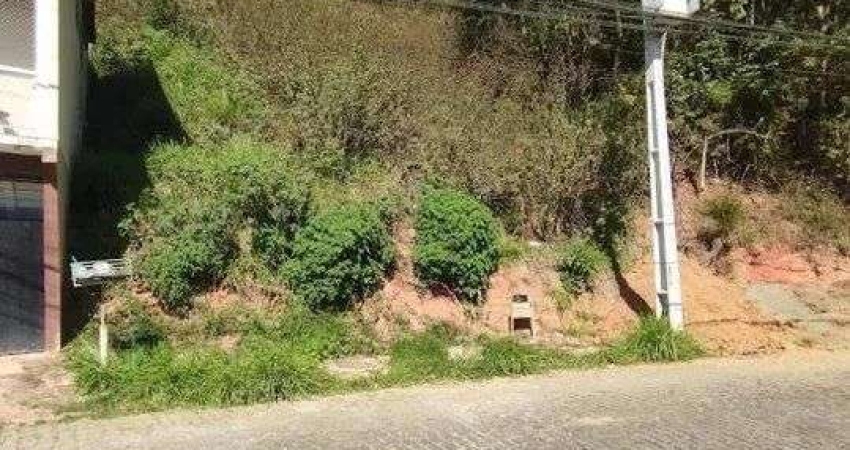 Terreno à venda na Rua Belchior Moreira, 161, Pimenteiras, Teresópolis