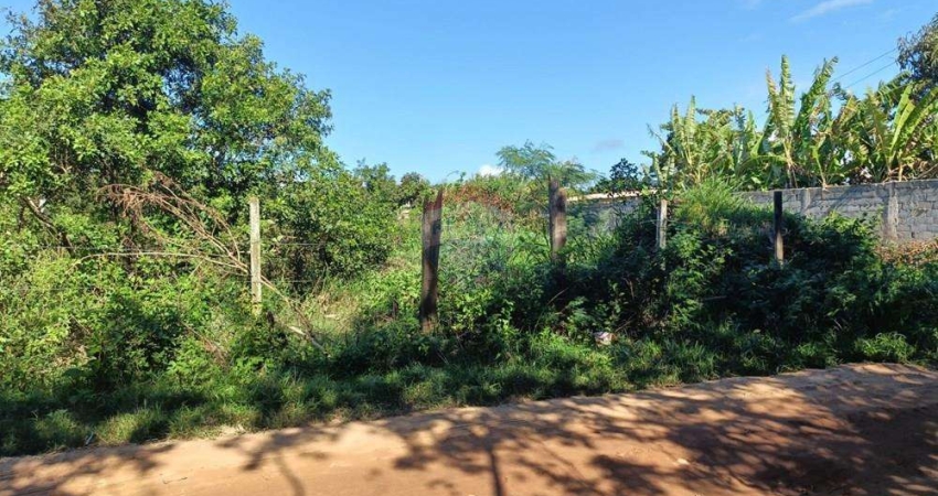 Terreno de 600m² por 86$ mil rua das Palmeiras Maria Joaquina