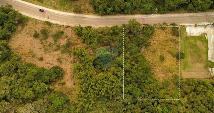 À venda: Terreno com RGI e 1.000 m² na Tartaruga em Armação dos Búzios