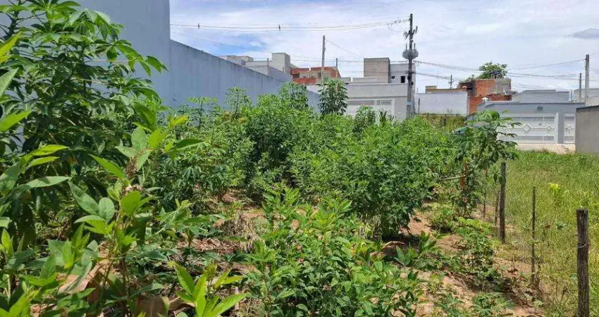 Terreno à venda no Jardim das Maritacas, Indaiatuba 