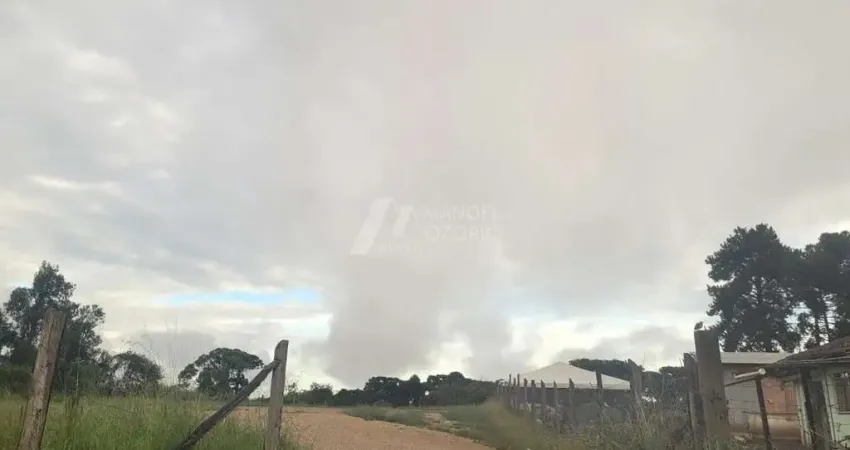 Casa comercial para alugar no Boqueirão, Araucária