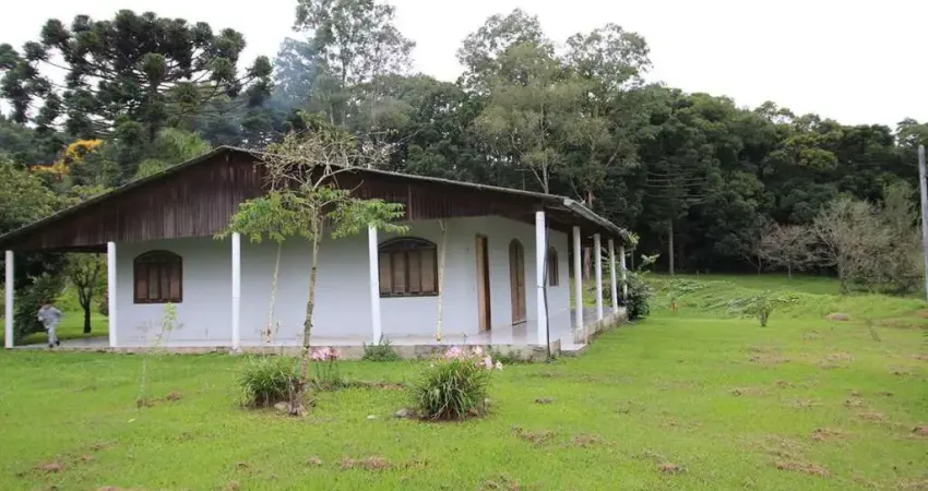 Chácara / sítio com 3 quartos à venda na Rua Ivo Carvalho, Campo Largo da Roseira, São José dos Pinhais