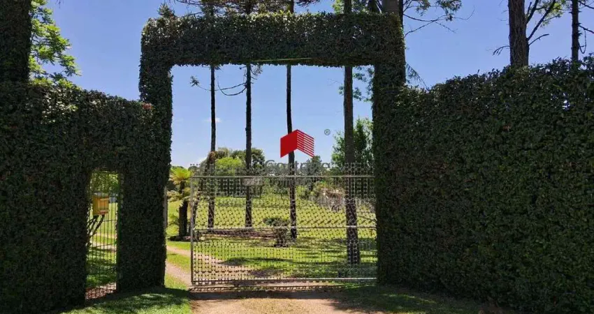 Terreno com 18.390,17m² , à venda, no bairro jurema em são josé dos pinhais