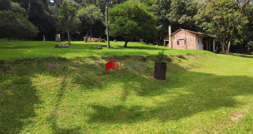 Terreno com 33.717m² 2 quartos, à venda, no bairro Cachoeira em São José dos Pinhais