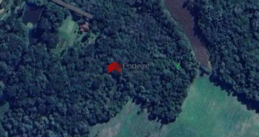Chácara com 50.000m² , à venda, no bairro Contenda em São José dos Pinhais