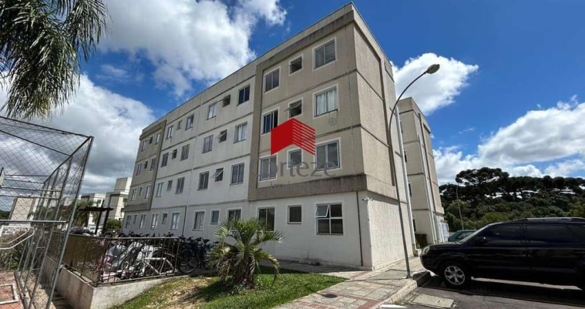 Apartamento com 38,4m² 1 quarto, para aluguel, no bairro Ouro Fino em São José dos Pinhais