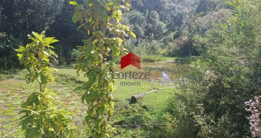 Chácara com 100m² 9 quartos, à venda, no bairro Zona Rural em São José dos Pinhais
