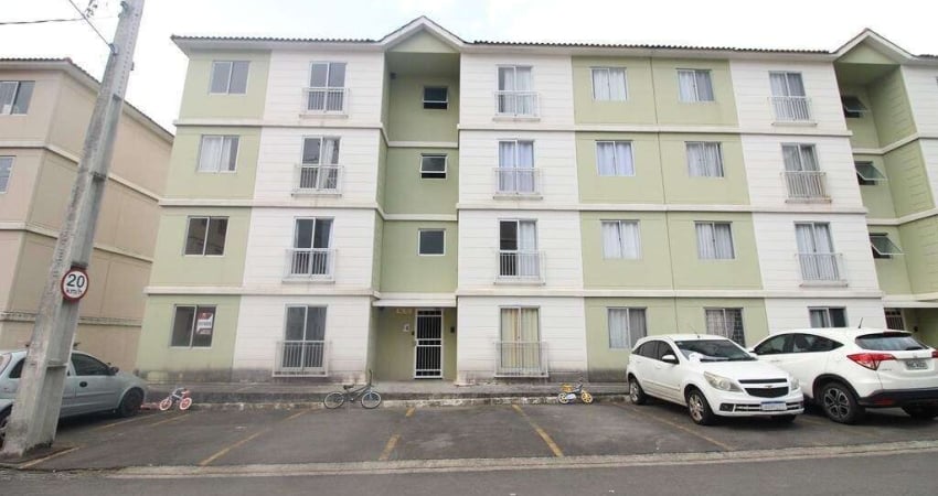 Apartamento com 42,64m² 2 quartos, para aluguel, no bairro Afonso Pena em São José dos Pinhais