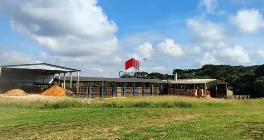Barracão com 2.000m² , para aluguel, no bairro Campo Largo da Roseira em São José dos Pinhais