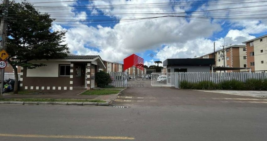 Apartamento com 39,88m² 2 quartos, para aluguel, no bairro Ouro Fino em São José dos Pinhais