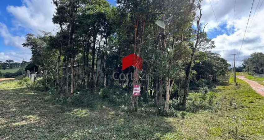 Terreno com 1.144m² , à venda, no bairro Borda do Campo em São José dos Pinhais