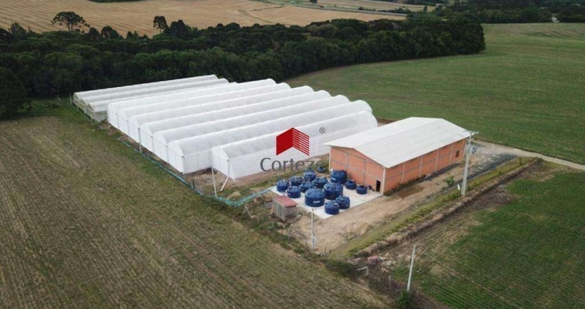 Área Rural com 30.244m² , à venda, no bairro PASSA DOIS em Lapa