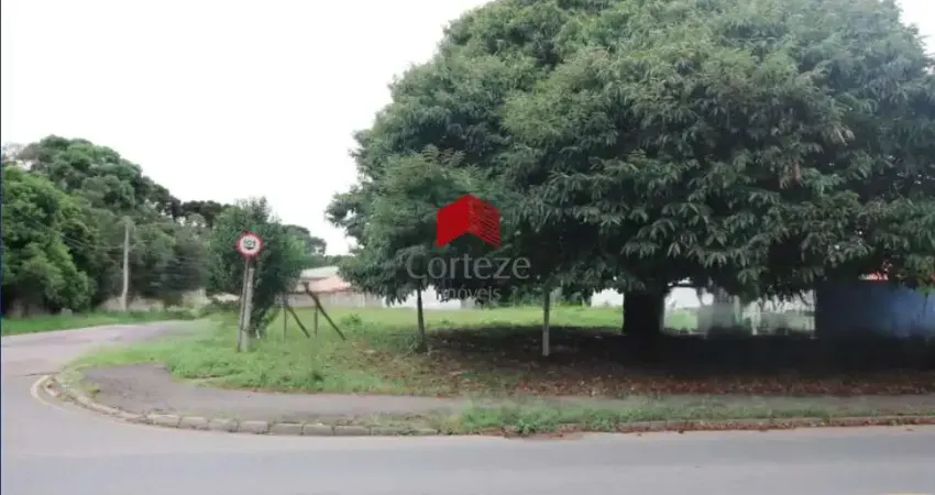 Terreno com 1.010,63m² , à venda, no bairro Rio Pequeno em São José dos Pinhais