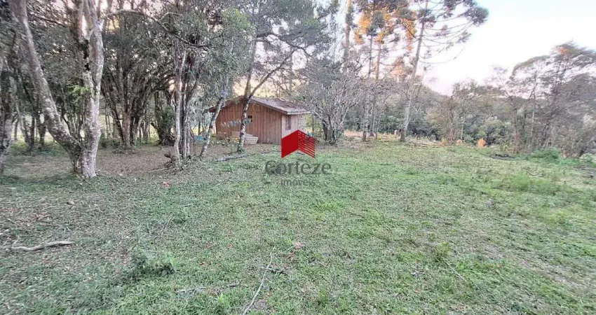 Terreno com 1.000m² , à venda, no bairro borda do campo em são josé dos pinhais