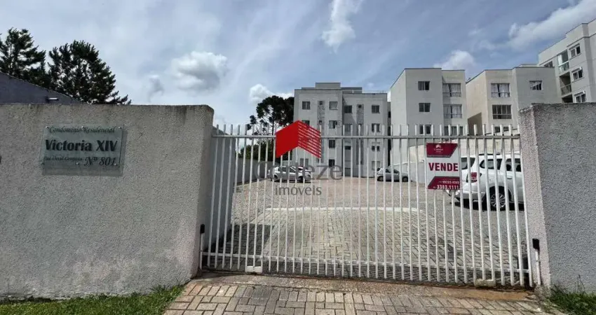 Apartamento com 51,8m² 2 quartos, à venda, no bairro afonso pena em são josé dos pinhais
