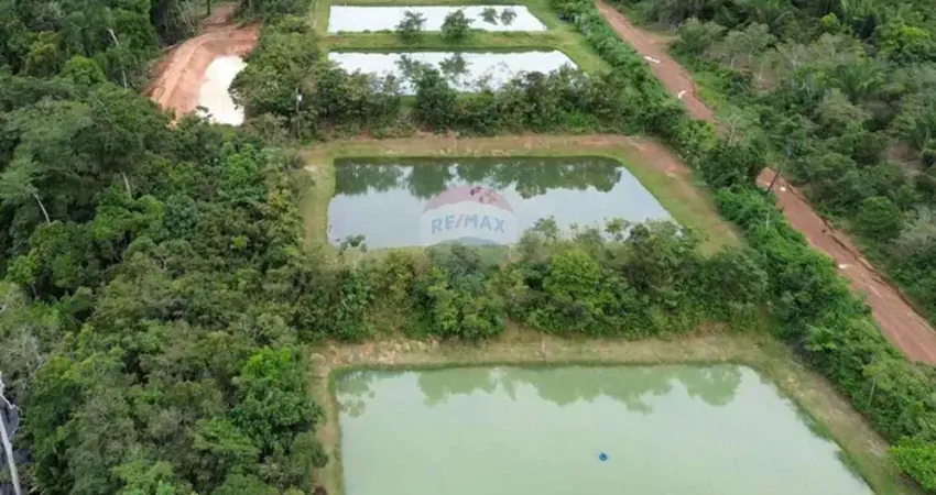 VENDO FAZENDA ARAPAIMA NO KM 25 DA ESTRADA DE NOVO AIRÃO-AM